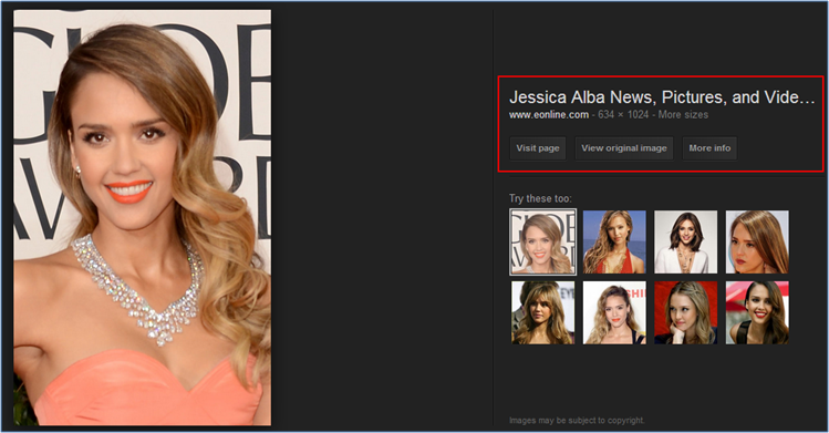 Image search - detail view of the new interface
